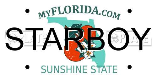 STARBOY Florida License Plate