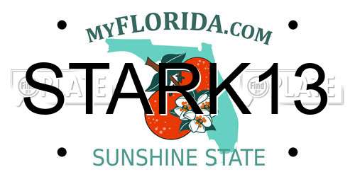 STARK13 Florida License Plate