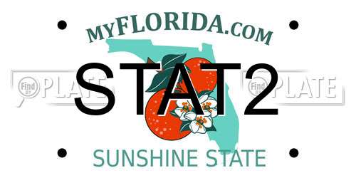 STAT2 Florida License Plate
