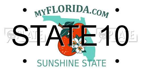 STATE10 Florida License Plate
