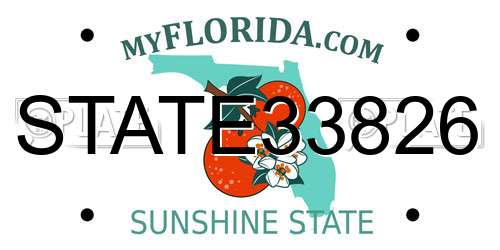 STATE33826 Florida License Plate