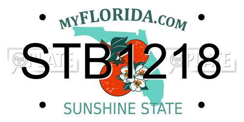 STB1218 Florida License Plate