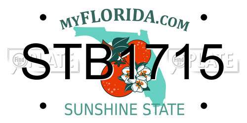 STB1715 Florida License Plate