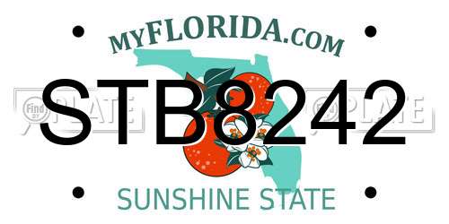 STB8242 Florida License Plate