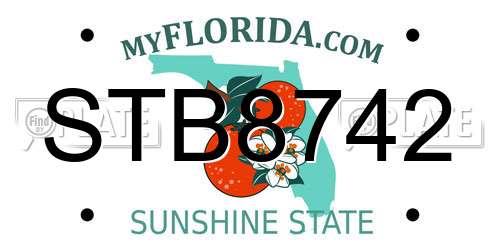 STB8742 Florida License Plate