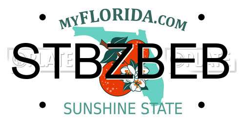 STBZBEB Florida License Plate