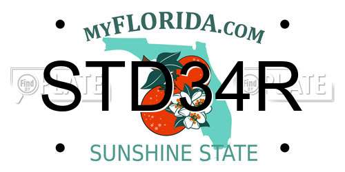 STD34R Florida License Plate
