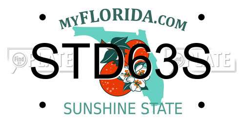 STD63S Florida License Plate