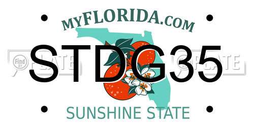 STDG35 Florida License Plate