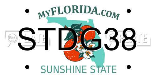 STDG38 Florida License Plate