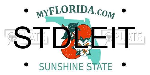 STDLEIT Florida License Plate