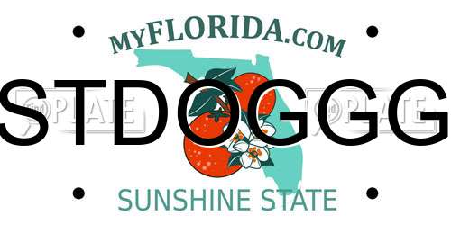 STDOGGG Florida License Plate