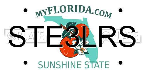 STE3LRS Florida License Plate