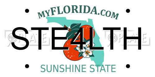 STE4LTH Florida License Plate
