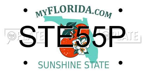 STE55P Florida License Plate