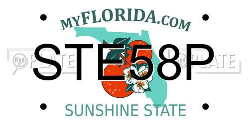 STE58P Florida License Plate