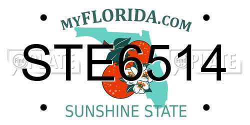 STE6514 Florida License Plate