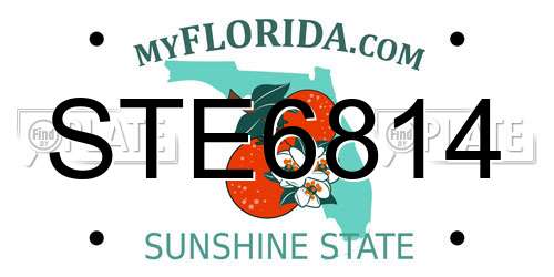 STE6814 Florida License Plate