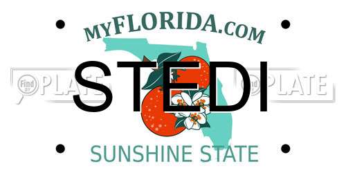 STEDI Florida License Plate