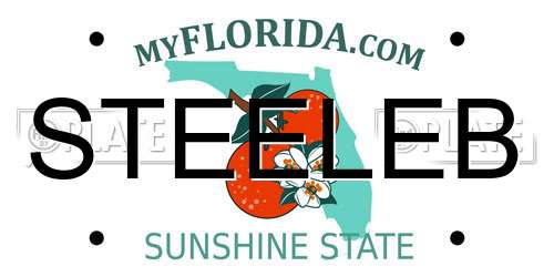 STEELEB Florida License Plate