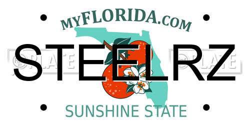 STEELRZ Florida License Plate