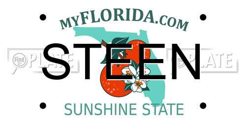 STEEN Florida License Plate
