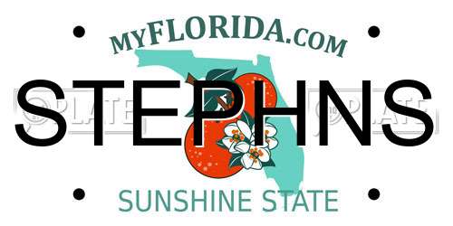 STEPHNS Florida License Plate