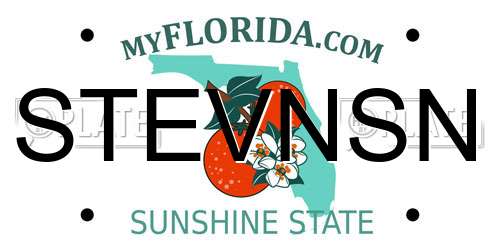 STEVNSN Florida License Plate