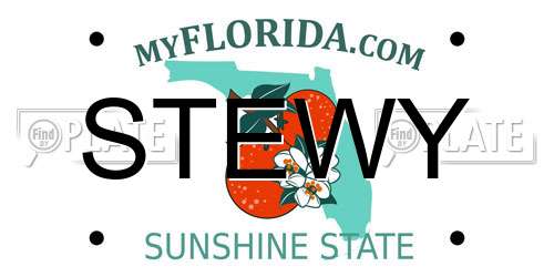 STEWY Florida License Plate