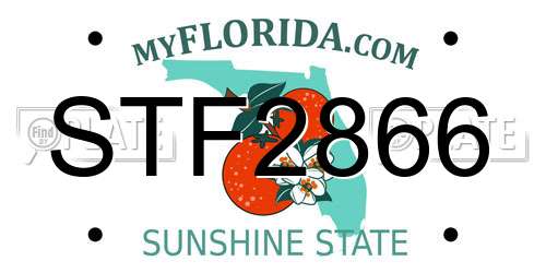 STF2866 Florida License Plate