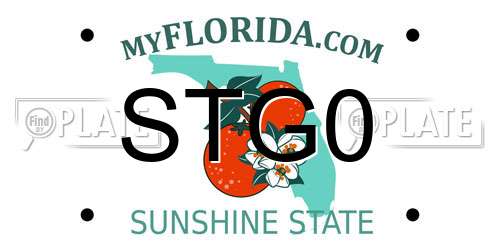STG0 Florida License Plate