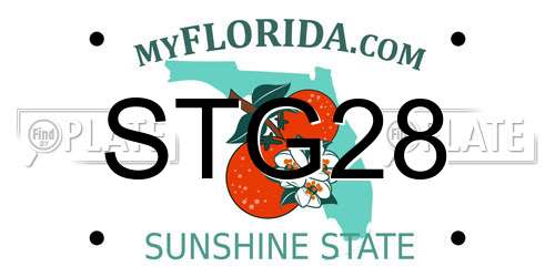 STG28 Florida License Plate