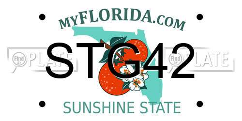 STG42 Florida License Plate