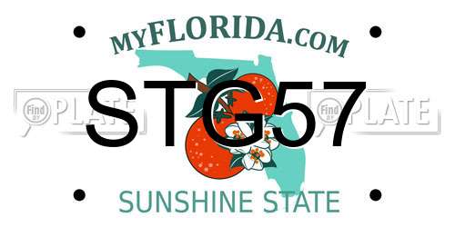 STG57 Florida License Plate