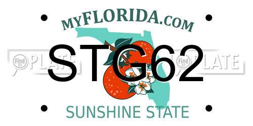 STG62 Florida License Plate