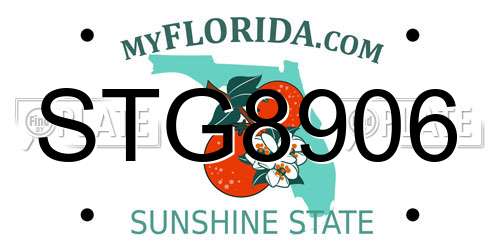 STG8906 Florida License Plate