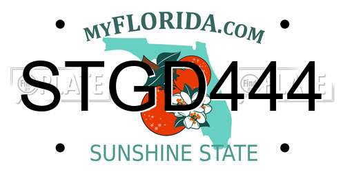 STGD444 Florida License Plate