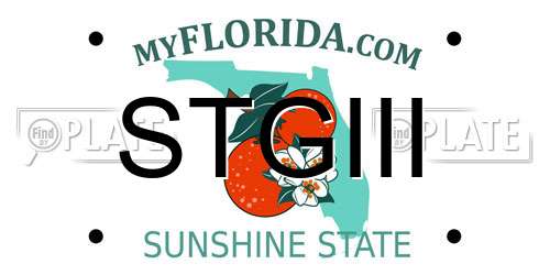 STGIII Florida License Plate