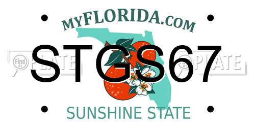 STGS67 Florida License Plate