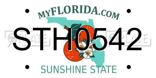 STH0542 Florida License Plate