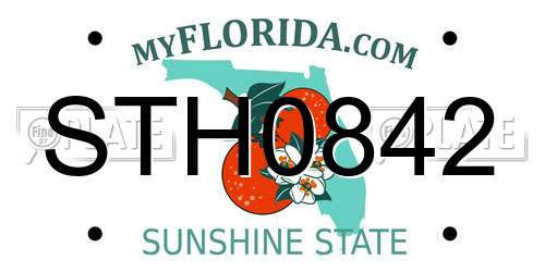 STH0842 Florida License Plate
