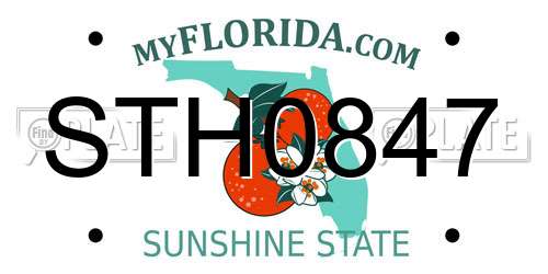 STH0847 Florida License Plate