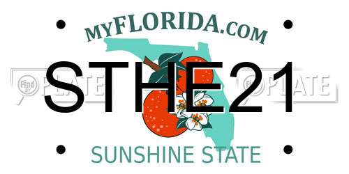 STHE21 Florida License Plate