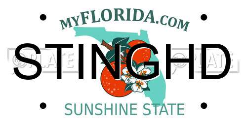 STINGHD Florida License Plate