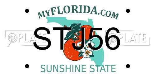 STJ56 Florida License Plate