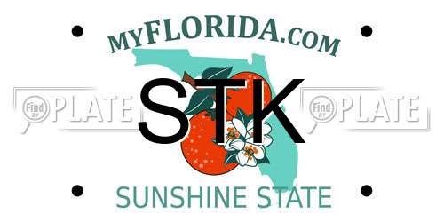 STK Florida License Plate