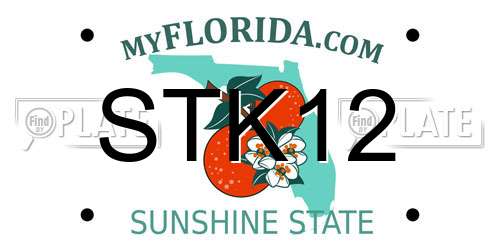 STK12 Florida License Plate