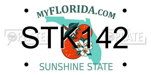 STK142 Florida License Plate