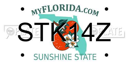 STK14Z Florida License Plate