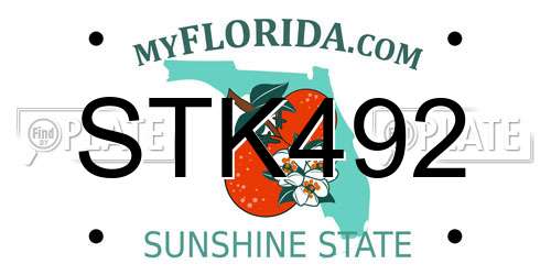 STK492 Florida License Plate